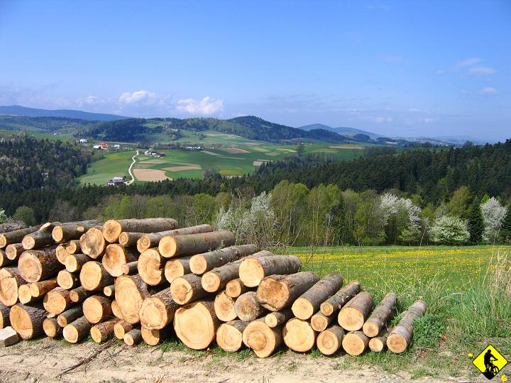 foto 030.jpg - Podjazd na Maślaną Górę od strony Łęg. Nie pamiętam bym musiał zsiadać z roweru. Sympatyczny.